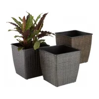 Saksije i žardinjere