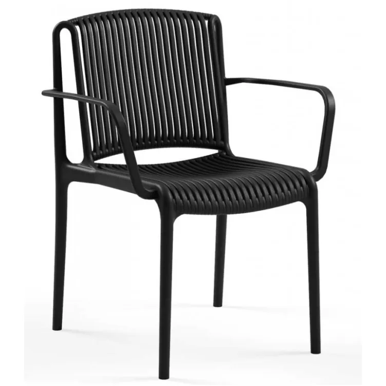 Tilia stolica nes crna 104040010 