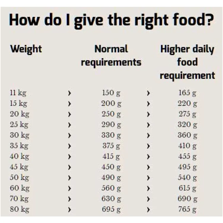 Hrana za pse Happy Dog Supreme Fit & Well Senior 4kg