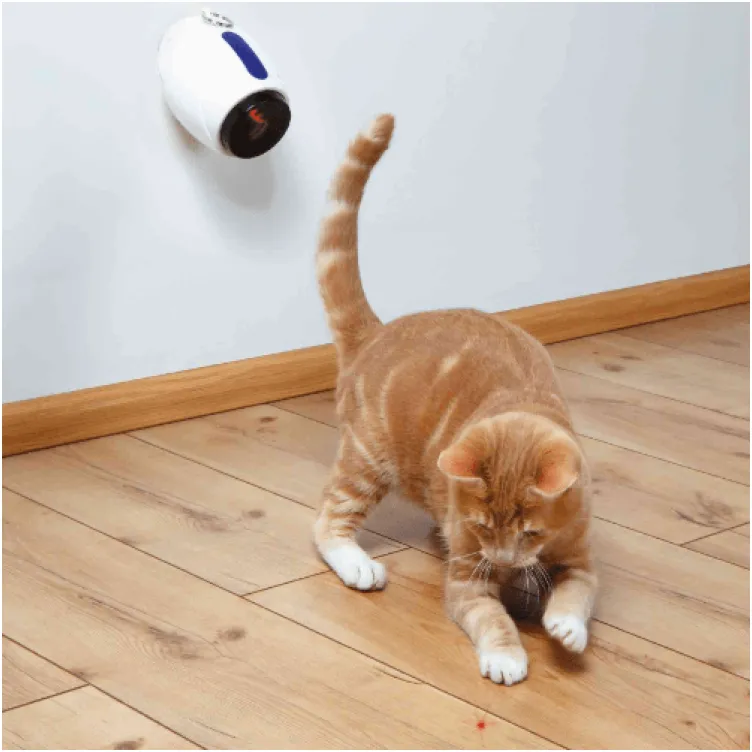 Moving Light laser za mačke