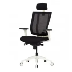 Ergonomska stolica PROMAX/W