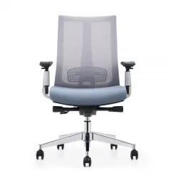 Ergonomska radna stolica HUNT niska