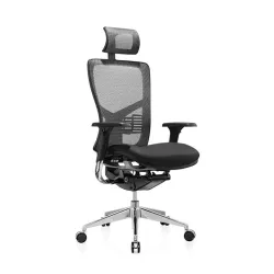 Ergonomska stolica WES