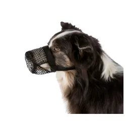 Korpa za pse za zaštitu od otrova S