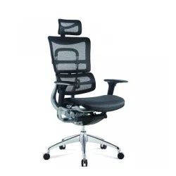 Ergonomska stolica HAVAS/M