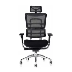 Ergonomska stolica HAVAS