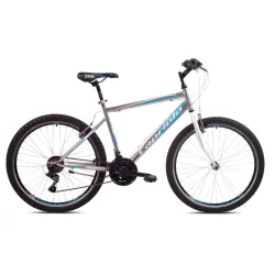 Mountain Bike Passion Man 26 sivo crna 21