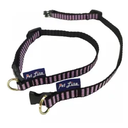 Pet line ogrlica Chihuahua