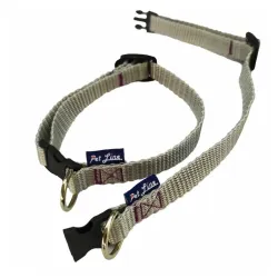 Pet line ogrlica Standard Poodle