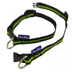 Pet line ogrlica Standard Poodle