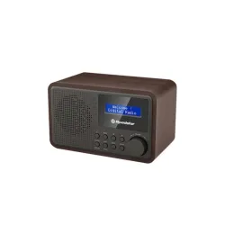 Roadstar HRA-700D+WD FM Radio 
