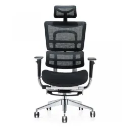 Ergonomska stolica HAVAS/N