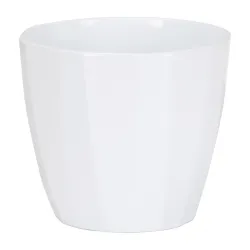 Saksija 939/18 Alaska 