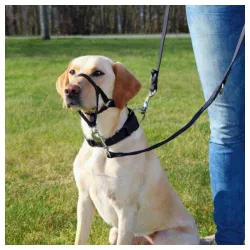 Top trening traka za njušku Trixie 13006